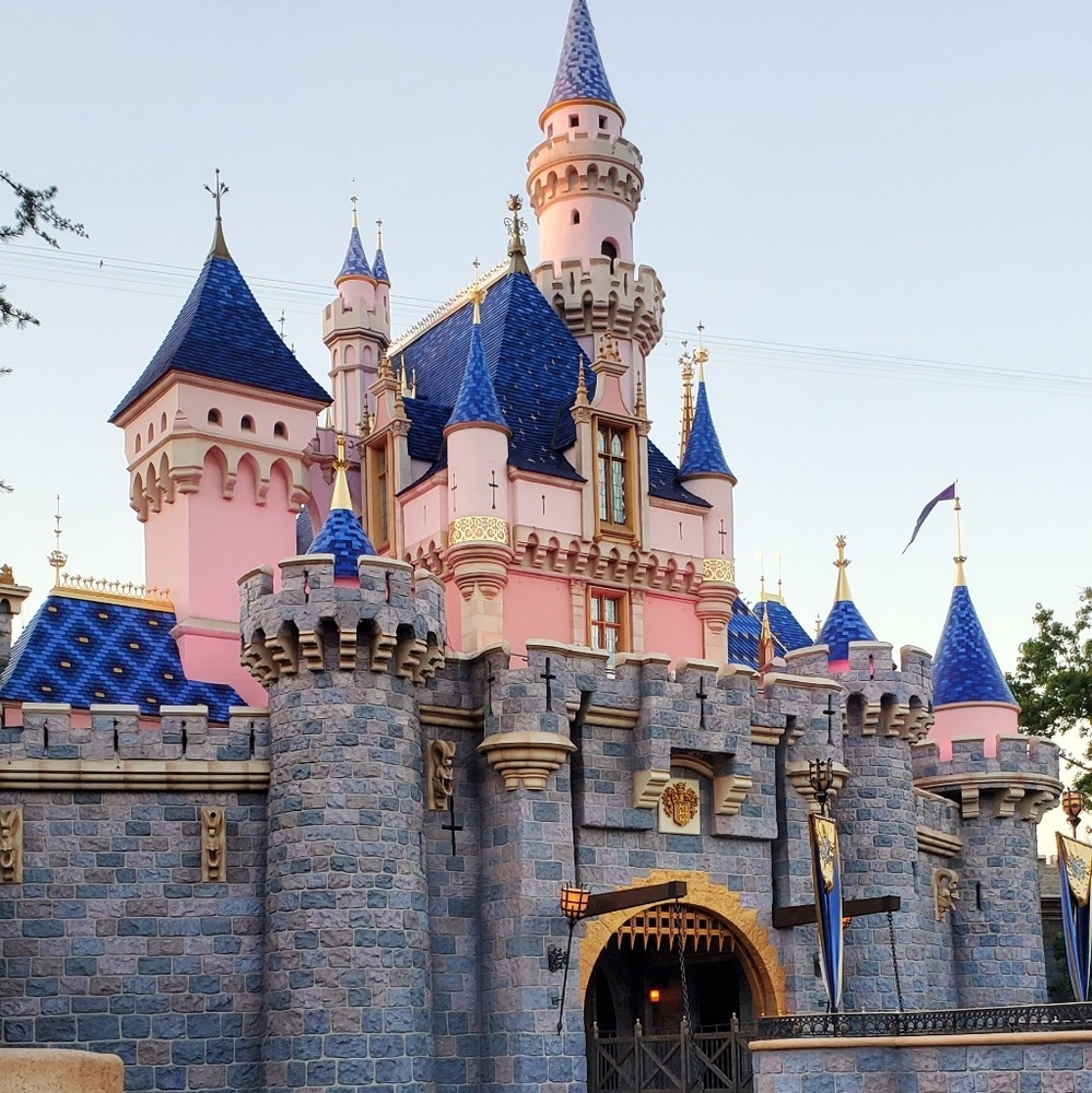 Meet your Posher, Joy